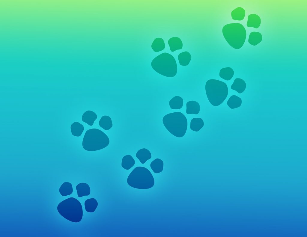 Diseño web para veterinarios en El Viso del Alcor